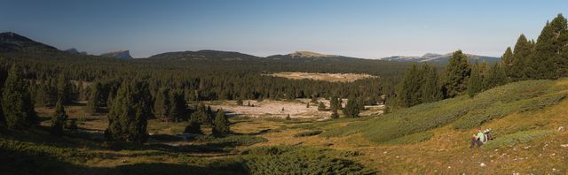 Une belle vue sur les hauts plateaux